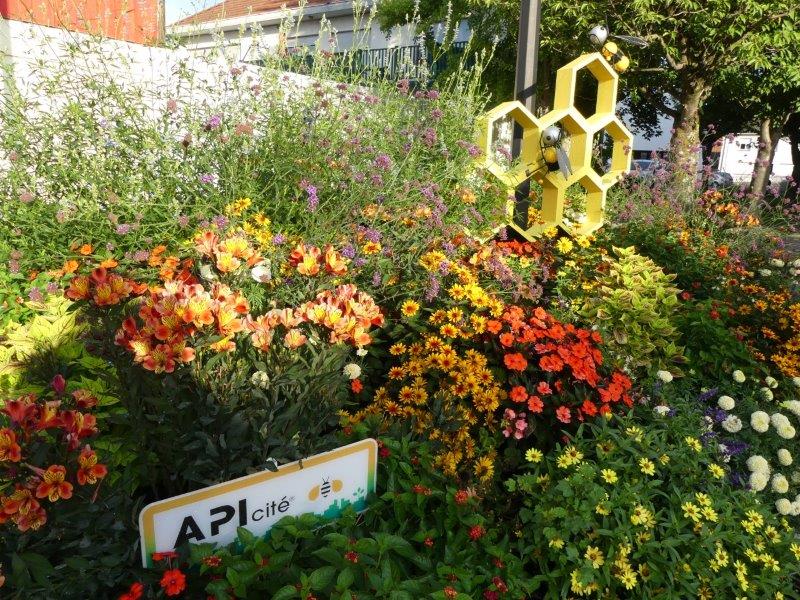 Panneau APIcité dans un parterre fleuri — commune labellisée